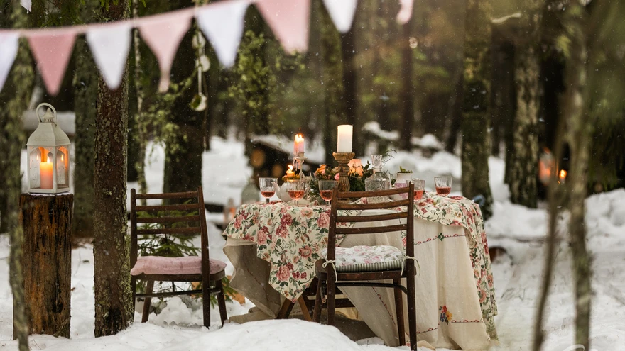 Unelmate metsapikniku saab korraldada ka südatalvel