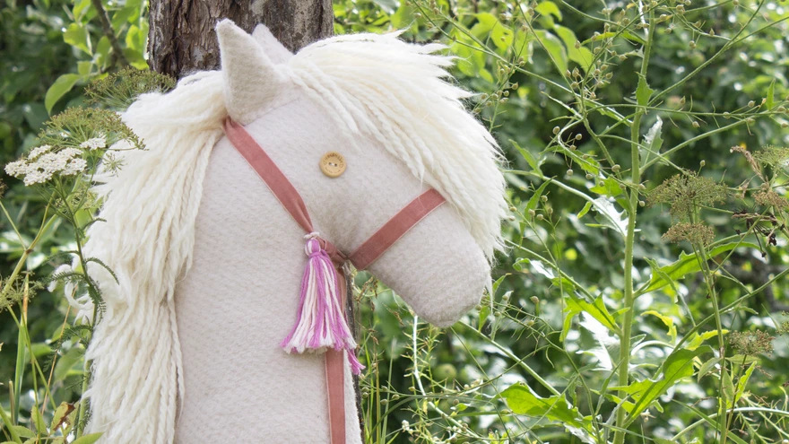 Kepphobune on hea sõber ja trennikaaslane!