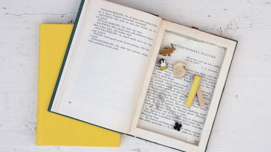 Äraviskamisele läinud raamatust sai hoopis salajane karbike.