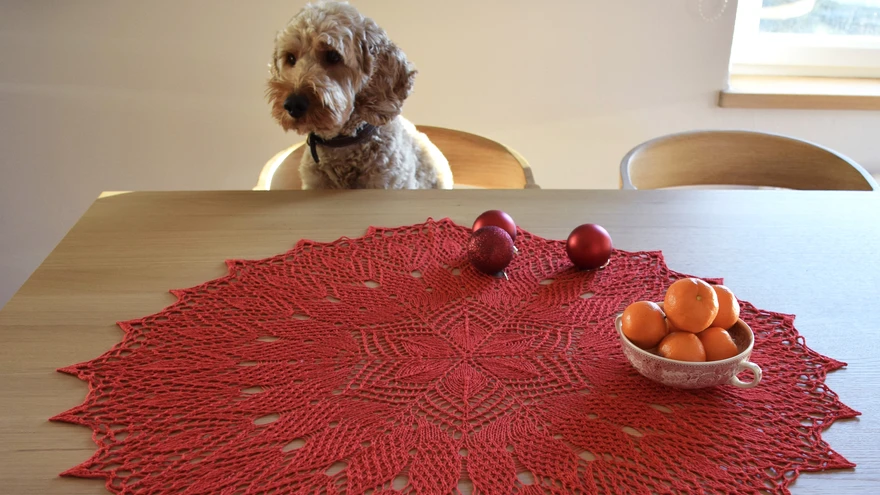 Päris suur kootud lina on iga laua uhkuseks! Koer Hugo kiidab lauakatte samuti heaks!