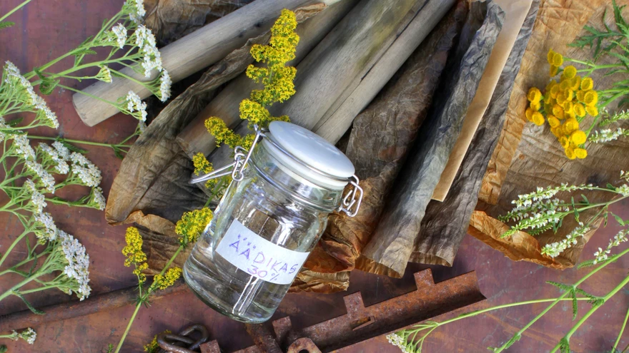 Vajalikeks materjalideks on näiteks äädikas ja rooste!