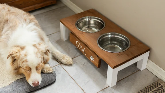 Flokil on nüüd oma lauake, kus kenasti süüa