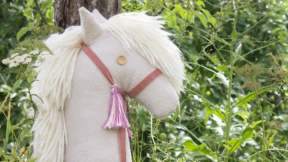 Kepphobune on hea sõber ja trennikaaslane!