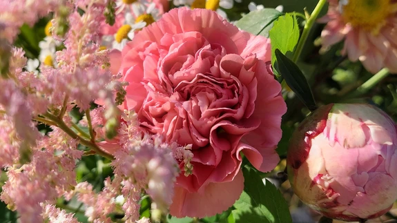 Püüame õiteilu vaasi!