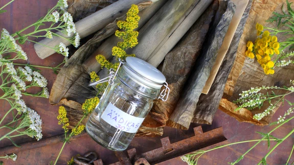 Vajalikeks materjalideks on näiteks äädikas ja rooste!