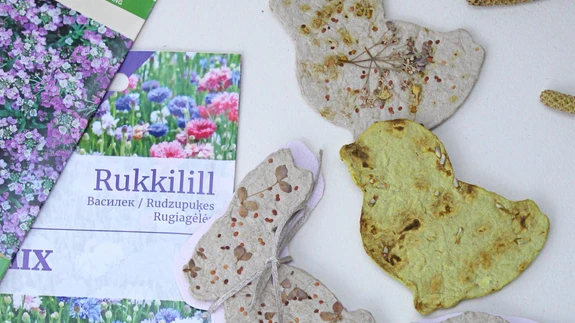 Seemnepaberid Idee ja teostus: Siire Vanaselja