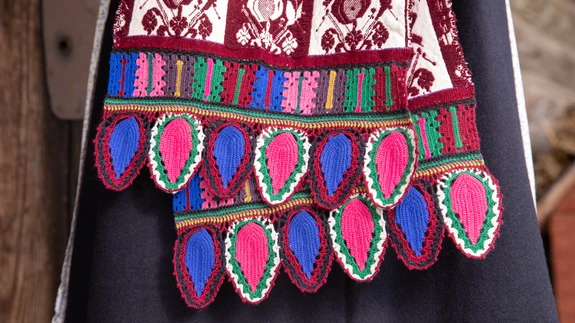 Heegelpitsiga seto pealiniku otsad. Autor: Marika Keerpalu